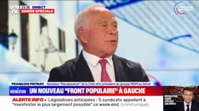 Dissolution de l'Assemblée nationale: "Rendre la parole au peuple, c'est la seule façon démocratique de traiter et dénouer les nœuds politiques", pour François Patriat (sénateur Renaissance)