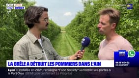 Ain: des pommes détruites par la grêle, les producteurs inquiets