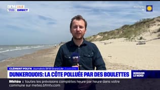 Dans le Dunkerquois, la côte nettoyée après des traces de pollution maritime