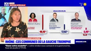 Élections européennes: ces communes du Rhône où la gauche triomphe