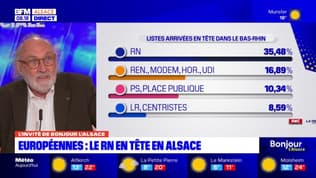 Elections européennes: Philippe Breton analyse les résultats