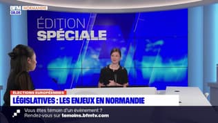 Élections législatives anticipées: quels enjeux en Normandie?