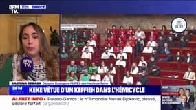 Gaza: "On a l'impression que la France est spectatrice", regrette la députée écologiste Sabrina Sebahi