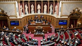 La ministre déléguée aux Outre-mer Marie Guevenoux devant le Sénat à Paris le 2 avril 2024