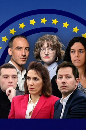 Européennes: Bardella, Glucksmann, Hayer... Qui a été le plus assidu? Notre bilan des eurodéputés