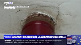 Moisissure, humidité... Le cauchemar d'une famille qui vit dans un logement insalubre