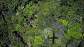 Vue aérienne de la forêt amazonienne le 13 octobre 2014 au Brésil